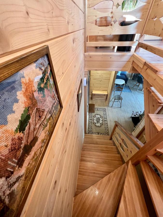 Domek Olczyski Zakopane Exteriör bild