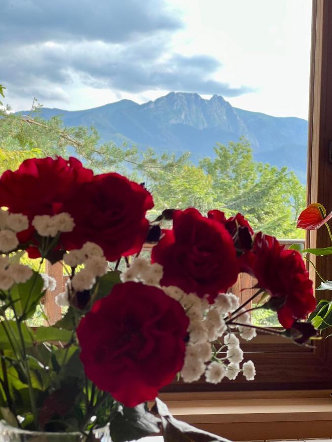 Domek Olczyski Zakopane Exteriör bild